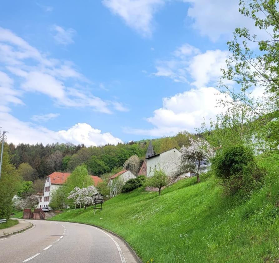 Family House Apartment Eberbach  Exterior photo