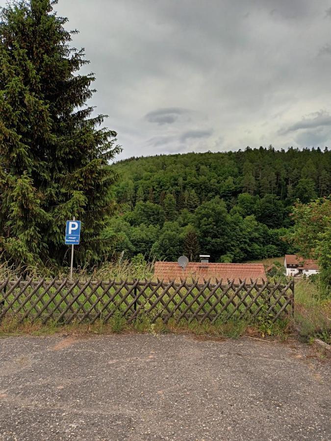Family House Apartment Eberbach  Exterior photo
